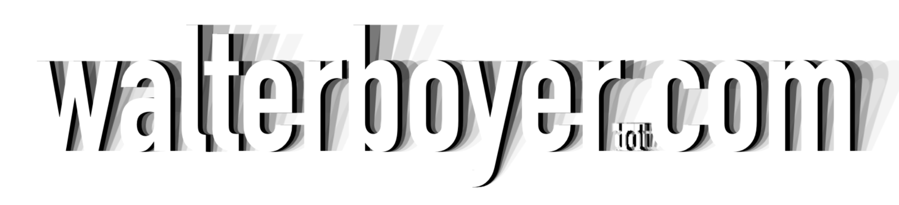 walterboyer.com header