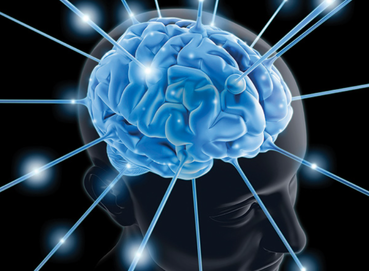 Brain Supplement Product