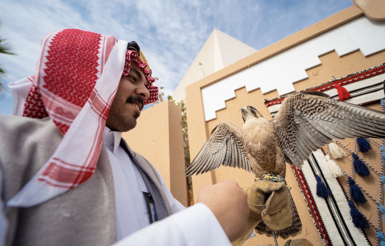 خلفية الأركان والأنشطة التفاعلية