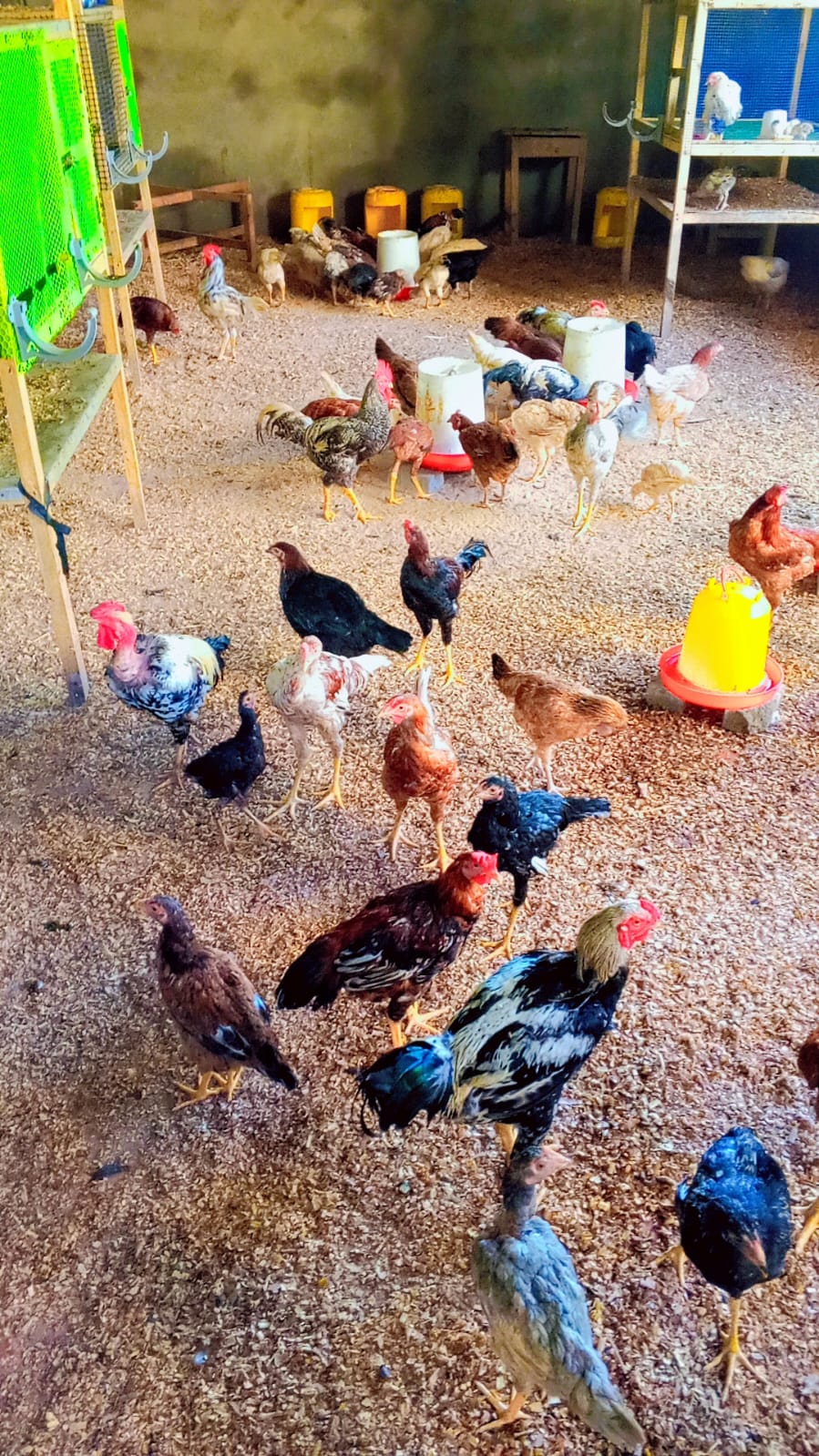 Agriculture