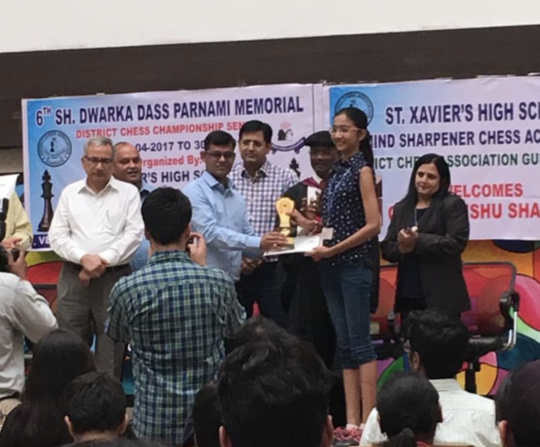 Chess Journey Image 7