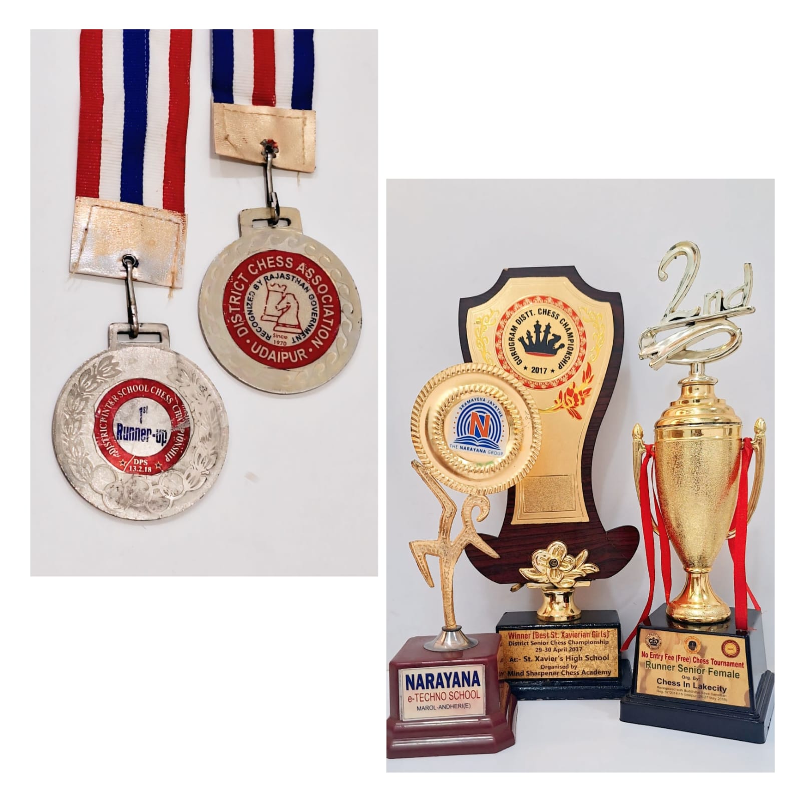 Chess Journey Image 5