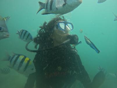 Scuba Diving Image 1
