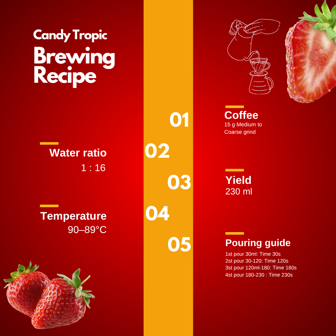 Candy Tropic Brewing Guide