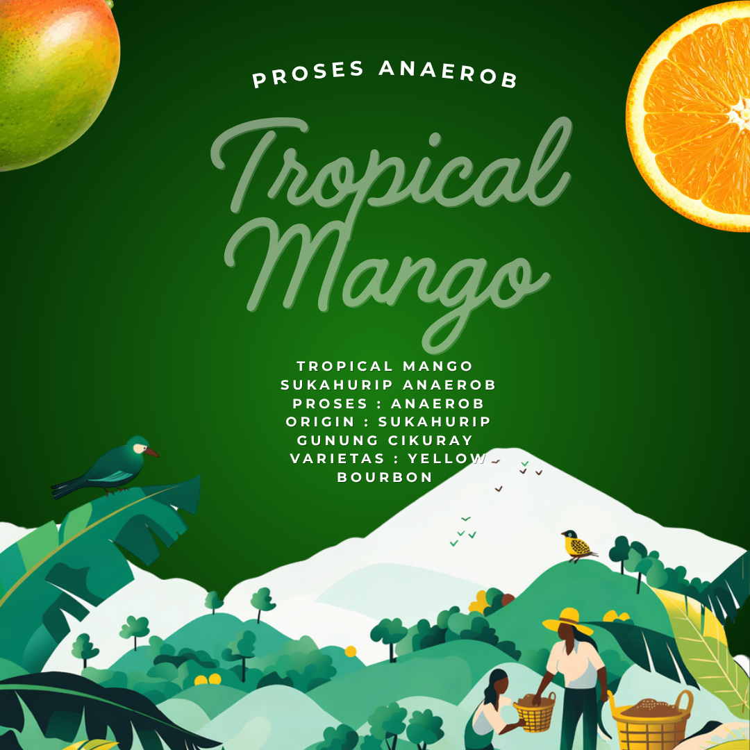 Tropical Mango Origin and Process
