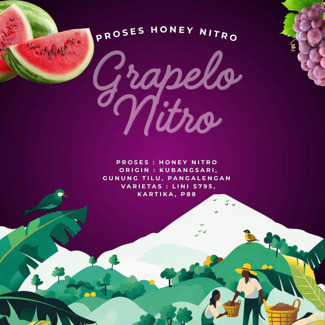 Grapelon Nitro Origin and Process
