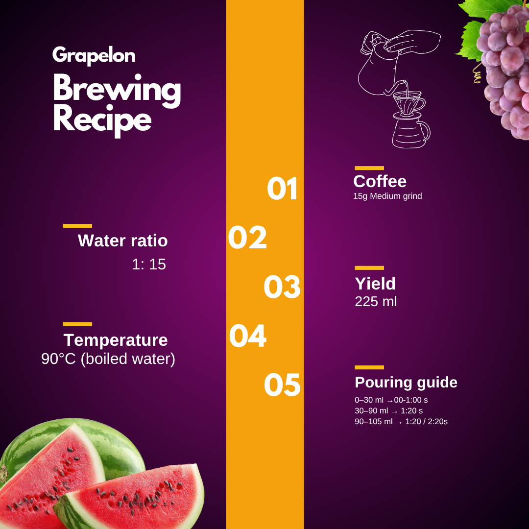 Grapelon Nitro Brewing Guide