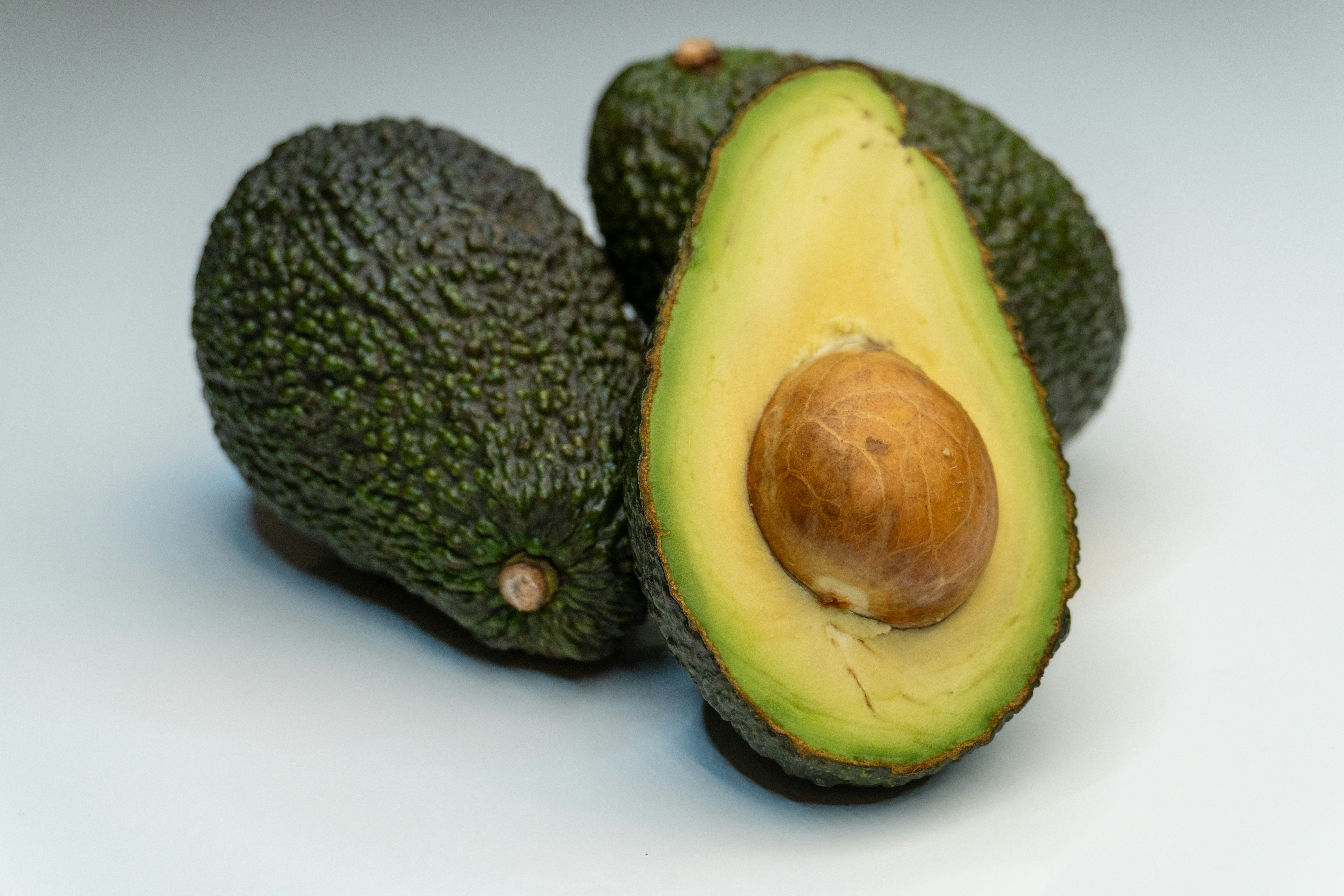 Hass avocado grade A export quality