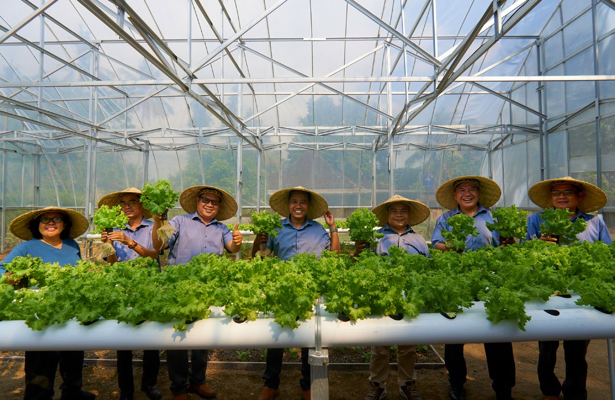 Sustainable Agriculture and Commodity Systems